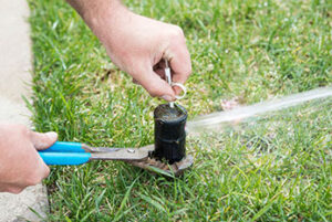 Sprinkler Head Adjustment for Home Lawn Irrigation System