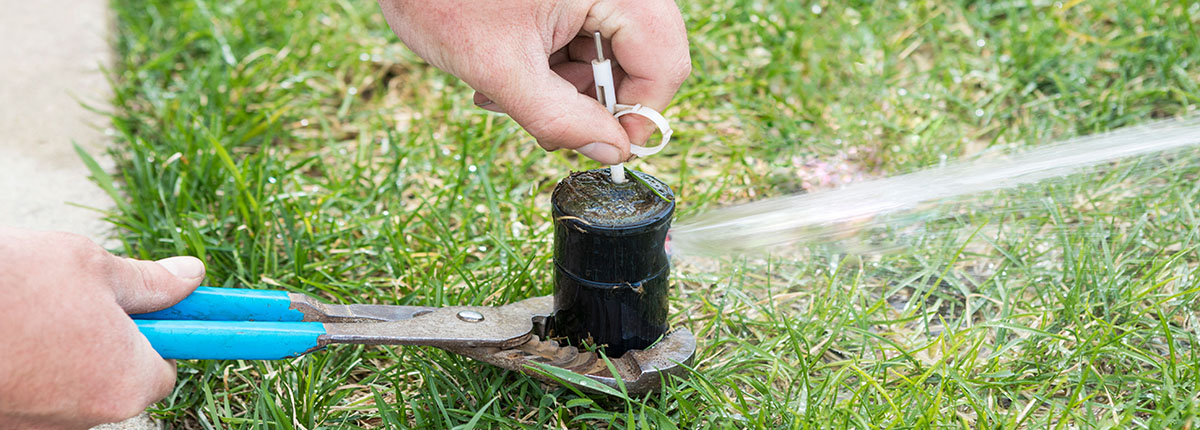 Sprinkler Repair Service Pasadena Md