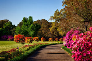 Paved walkway lined by colorful flowers and shrubs with trees in the background
