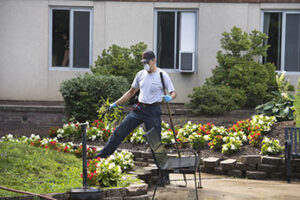 Rutgers College Avenue Campus Housing grounds worker Juan Castiblanco pulls weeds while landscaping outside Brett Hall