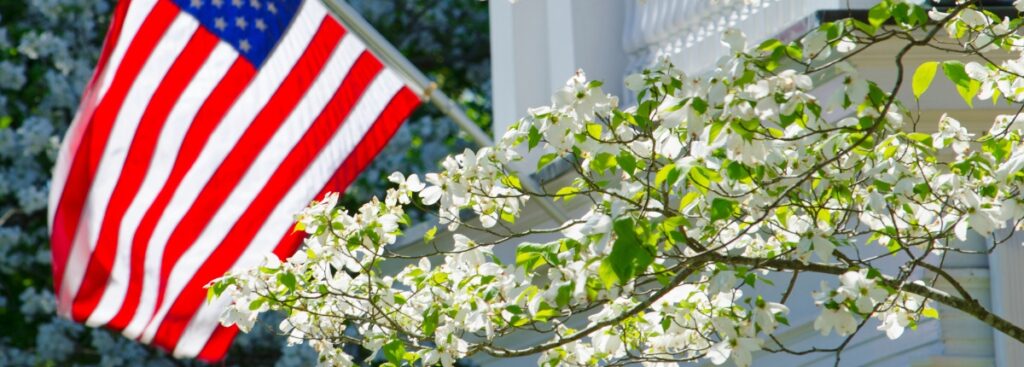 Flowering dogwood tree with house and American flag in the background