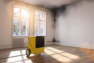 Professional Dehumidifier in room with mold due to water damage
