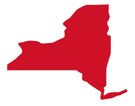 State of New York map icon