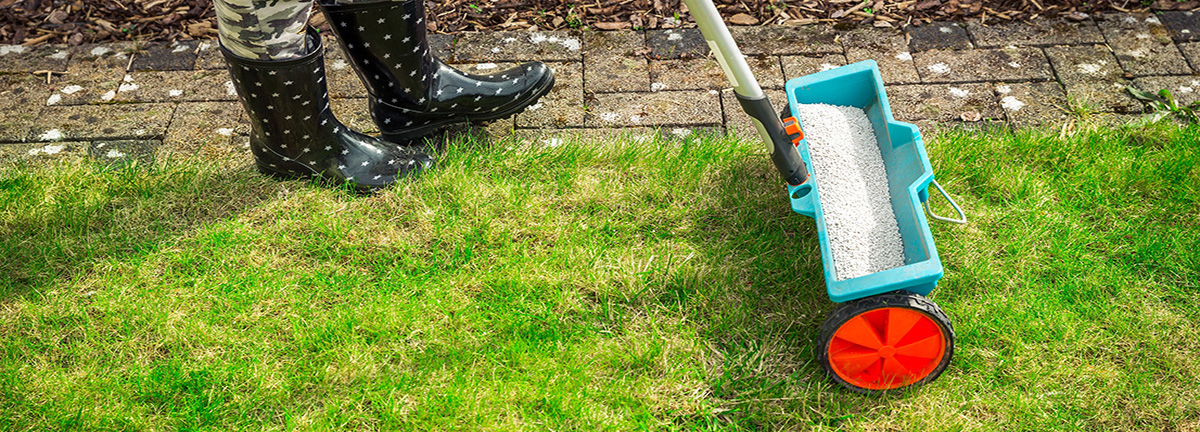 Fertilizer Spreader on Green Lawn