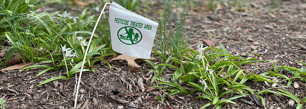 Pesticide Treated Area sign in mulch flower bed