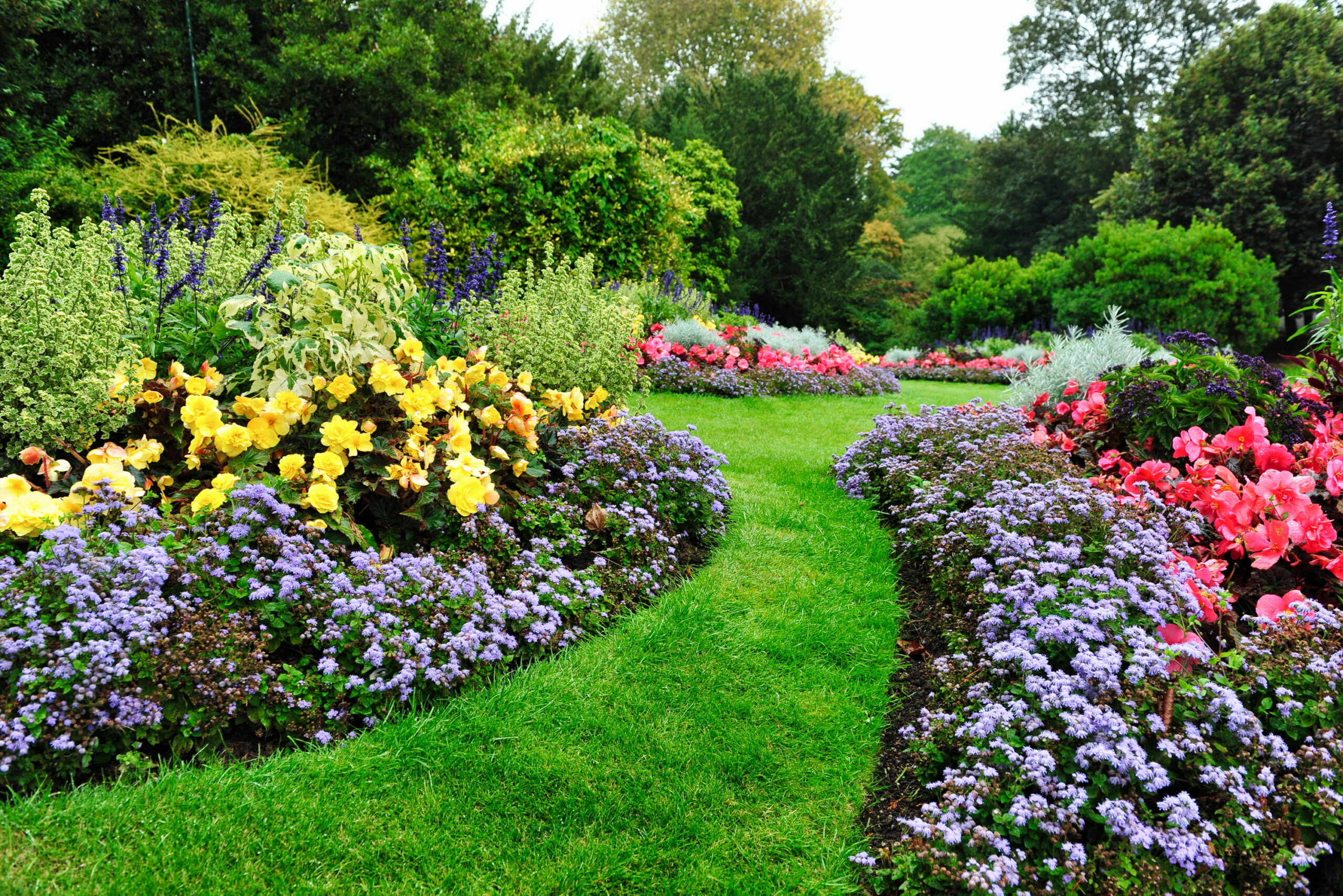 Colorful garden path through lawn