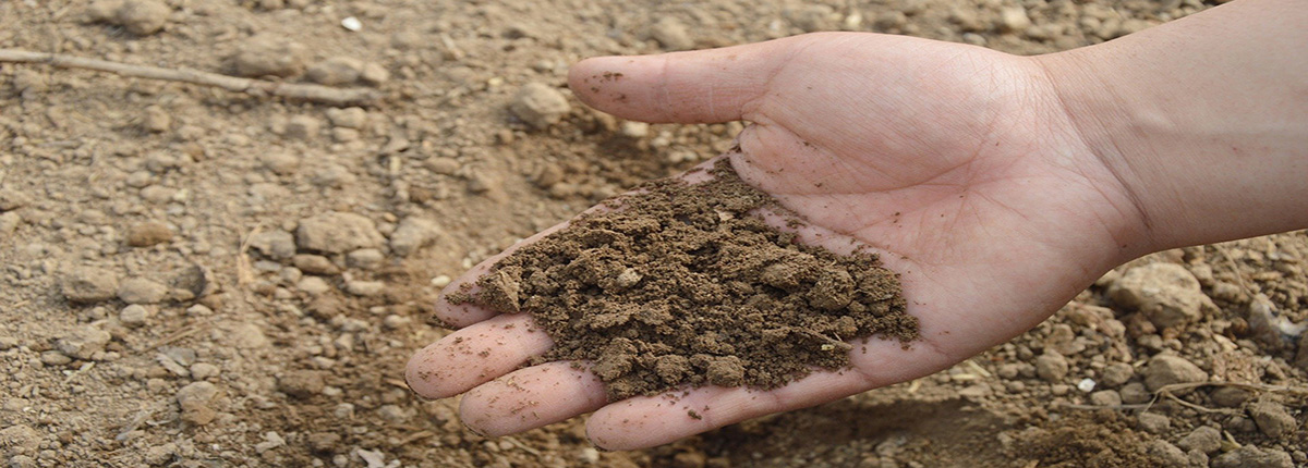 hand scooping a handful of soil from a pile