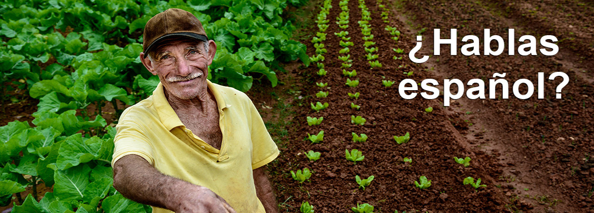 Older man standing in front of agricultural crops