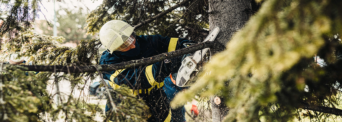 Person in protective gear using chain saw to prune a tree branch