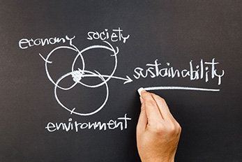 Hand drawing Venn diagram on chalkboard depicting how economy, society, and environment intersect to influence sustainability