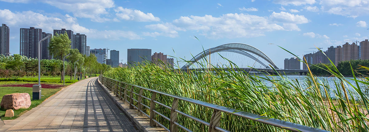 Park with trees and plants next to waterway in urban area