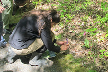 Student in the Vegetation Identification for Wetland Delineation North class takes a photo of a flower