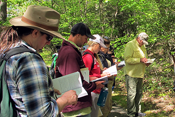 Wetland students and instructor Ralph Tiner consult their field guides to identify wetland plants