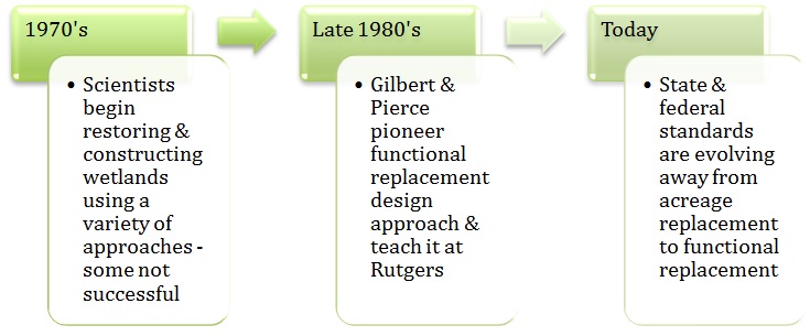 Wetland design timeline graphic